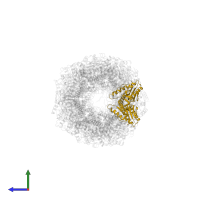 Proteasome subunit beta in PDB entry 6mux, assembly 1, side view.