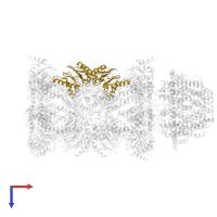 Proteasome subunit beta in PDB entry 6mux, assembly 1, top view.