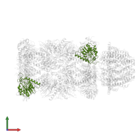 Proteasome subunit alpha type in PDB entry 6mux, assembly 1, front view.