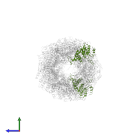 Proteasome subunit alpha type in PDB entry 6mux, assembly 1, side view.