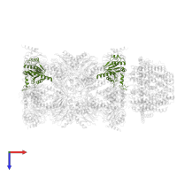 Proteasome subunit alpha type in PDB entry 6mux, assembly 1, top view.