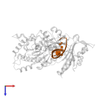 DNA (5'-D(*AP*CP*GP*GP*CP*TP*CP*AP*CP*AP*CP*T)-3') in PDB entry 6mxo, assembly 1, top view.