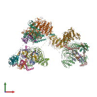 PDB entry 6mzl coloured by chain, front view.