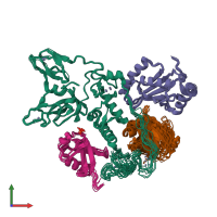 PDB entry 6n13 coloured by chain, ensemble of 10 models, front view.