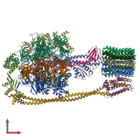 PDB entry 6n2y coloured by chain, front view.