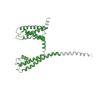 The deposited structure of PDB entry 6n4q contains 8 copies of Pfam domain PF00520 (Ion transport protein) in Ion transport domain-containing protein. Showing 2 copies in chain B.