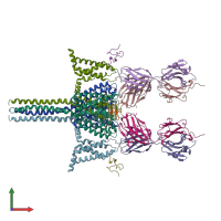 PDB entry 6n4q coloured by chain, front view.