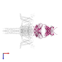 Fab heavy chain in PDB entry 6n4q, assembly 1, top view.