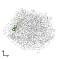 Large ribosomal subunit protein eL6A in PDB entry 6n8o, assembly 1, front view.