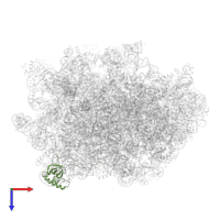 Large ribosomal subunit protein eL6A in PDB entry 6n8o, assembly 1, top view.