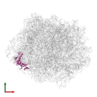 Large ribosomal subunit protein uL6A in PDB entry 6n8o, assembly 1, front view.