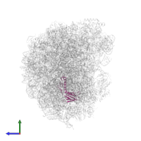 Large ribosomal subunit protein uL6A in PDB entry 6n8o, assembly 1, side view.