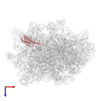 Large ribosomal subunit protein uL16 in PDB entry 6n8o, assembly 1, top view.