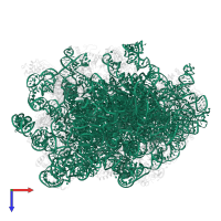Saccharomyces cerevisiae S288C 35S pre-ribosomal RNA (RDN37-1), miscRNA in PDB entry 6n8o, assembly 1, top view.