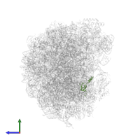 Large ribosomal subunit protein eL43A in PDB entry 6n8o, assembly 1, side view.