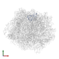 Ribosomal Protein uL1 in PDB entry 6n8o, assembly 1, front view.