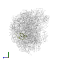 Large ribosomal subunit protein uL13A in PDB entry 6n8o, assembly 1, side view.