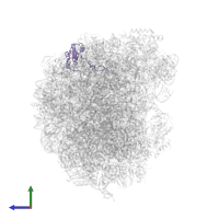 Large ribosomal subunit protein eL18A in PDB entry 6n8o, assembly 1, side view.