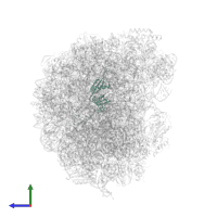 Large ribosomal subunit protein eL20A in PDB entry 6n8o, assembly 1, side view.