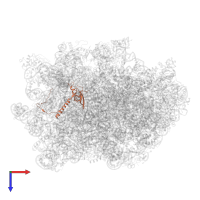 Large ribosomal subunit protein eL21A in PDB entry 6n8o, assembly 1, top view.
