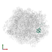 Large ribosomal subunit protein uL23 in PDB entry 6n8o, assembly 1, front view.