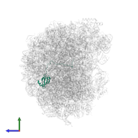 Large ribosomal subunit protein uL23 in PDB entry 6n8o, assembly 1, side view.