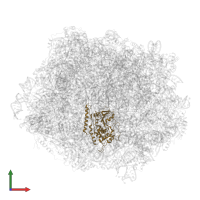 Large subunit GTPase 1 in PDB entry 6n8o, assembly 1, front view.