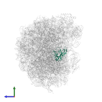 Large ribosomal subunit protein uL2A in PDB entry 6n8o, assembly 1, side view.