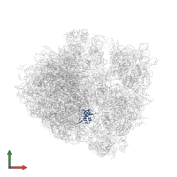 Large ribosomal subunit protein uL14 in PDB entry 6n9e, assembly 2, front view.