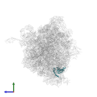 Large ribosomal subunit protein bL19 in PDB entry 6n9e, assembly 2, side view.