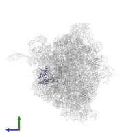 Large ribosomal subunit protein uL2 in PDB entry 6n9e, assembly 2, side view.