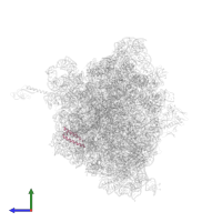 Large ribosomal subunit protein uL29 in PDB entry 6n9f, assembly 2, side view.