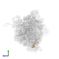 Small ribosomal subunit protein bS16 in PDB entry 6n9f, assembly 2, side view.