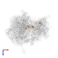 Modified residue PSU in PDB entry 6n9f, assembly 2, top view.