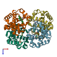 PDB entry 6nbc coloured by chain, ensemble of 10 models, top view.