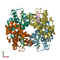 PDB entry 6nbd coloured by chain, ensemble of 9 models, front view.