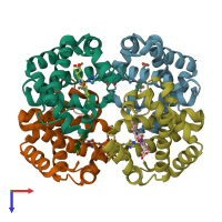 PDB entry 6nbd coloured by chain, ensemble of 9 models, top view.