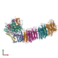 PDB entry 6nbq coloured by chain, front view.