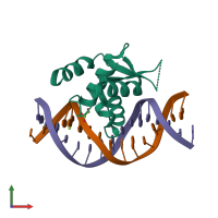 Hetero trimeric assembly 1 of PDB entry 6nce coloured by chemically distinct molecules, front view.
