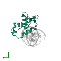 Forkhead box protein N3 in PDB entry 6nce, assembly 1, side view.