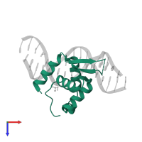 Forkhead box protein N3 in PDB entry 6nce, assembly 1, top view.