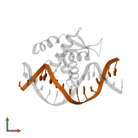 DNA (5'-D(*TP*CP*TP*TP*AP*AP*GP*TP*AP*AP*AP*CP*AP*AP*TP*G)-3') in PDB entry 6nce, assembly 1, front view.