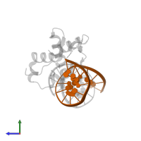 DNA (5'-D(*TP*CP*TP*TP*AP*AP*GP*TP*AP*AP*AP*CP*AP*AP*TP*G)-3') in PDB entry 6nce, assembly 1, side view.