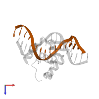 DNA (5'-D(*TP*CP*TP*TP*AP*AP*GP*TP*AP*AP*AP*CP*AP*AP*TP*G)-3') in PDB entry 6nce, assembly 1, top view.
