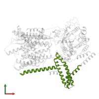 Translocation protein SEC66 in PDB entry 6nd1, assembly 1, front view.