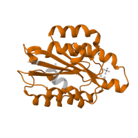 The deposited structure of PDB entry 6nda contains 6 copies of Pfam domain PF00092 (von Willebrand factor type A domain) in Integrin alpha-2. Showing 1 copy in chain C.