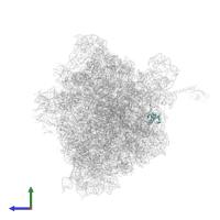 Small ribosomal subunit protein bS18 in PDB entry 6ndk, assembly 1, side view.