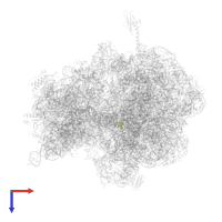 Modified residue OMU in PDB entry 6ndk, assembly 1, top view.