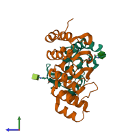 PDB entry 6ne1 coloured by chain, side view.