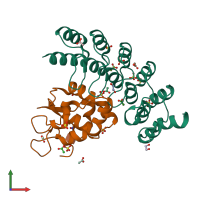 PDB entry 6ne2 coloured by chain, front view.